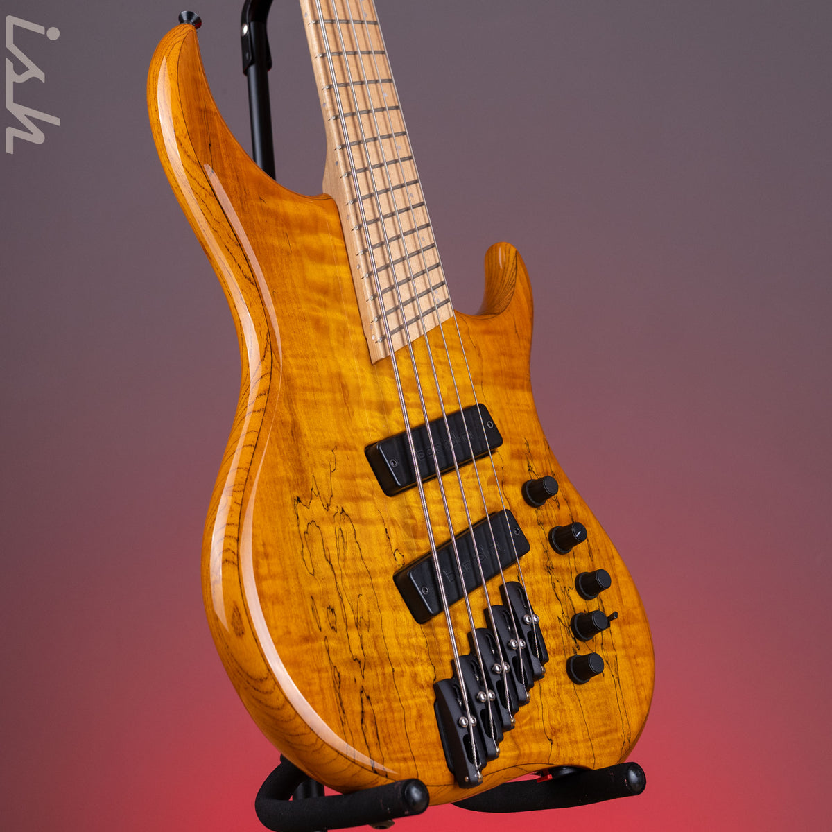 2003 Dingwall Z2 5-String Bass Spalted Maple w/ Bartolini Pickups