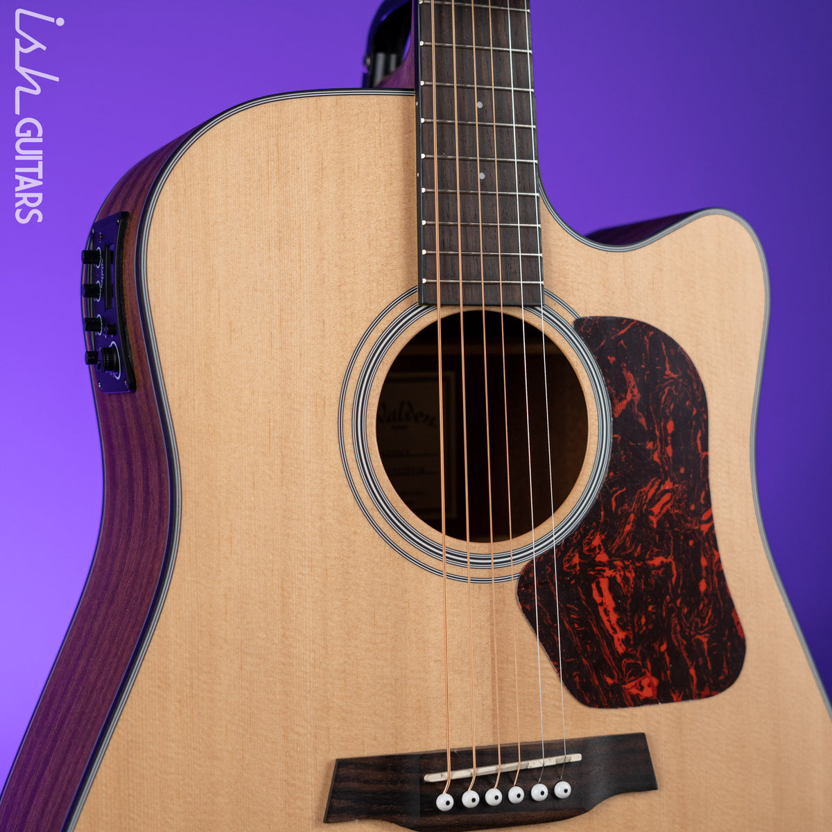 2016 Walden D550ce AcousticElectric Guitar Natural Ish Guitars