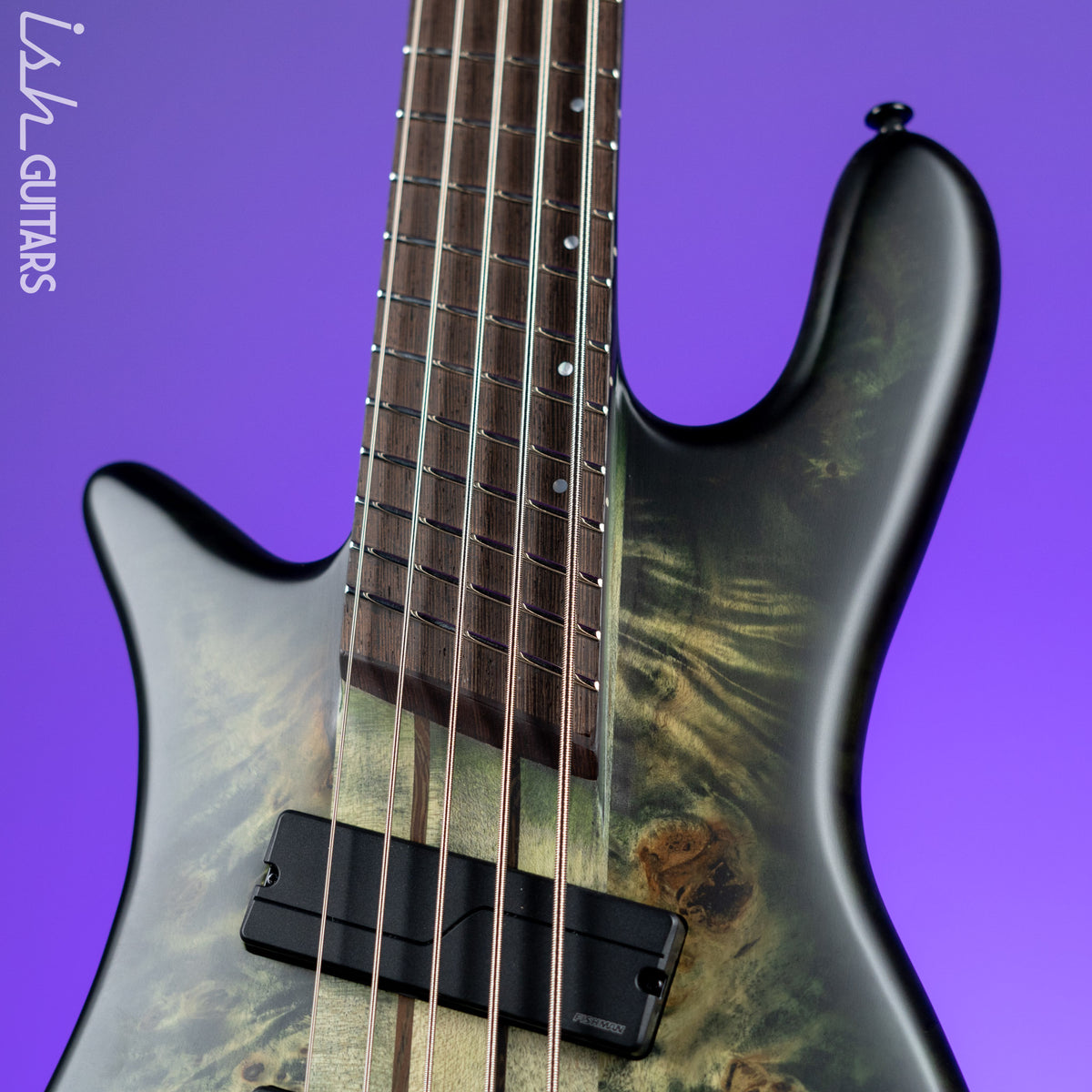 Spector NS Dimension Multi-Scale Left-Handed 5-String Bass Haunted