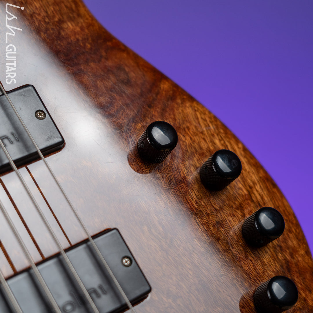 2001 Modulus Quantum 5 Fretless Bass