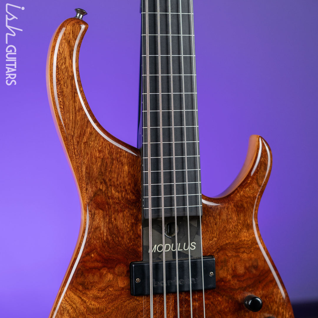 2001 Modulus Quantum 5 Fretless Bass