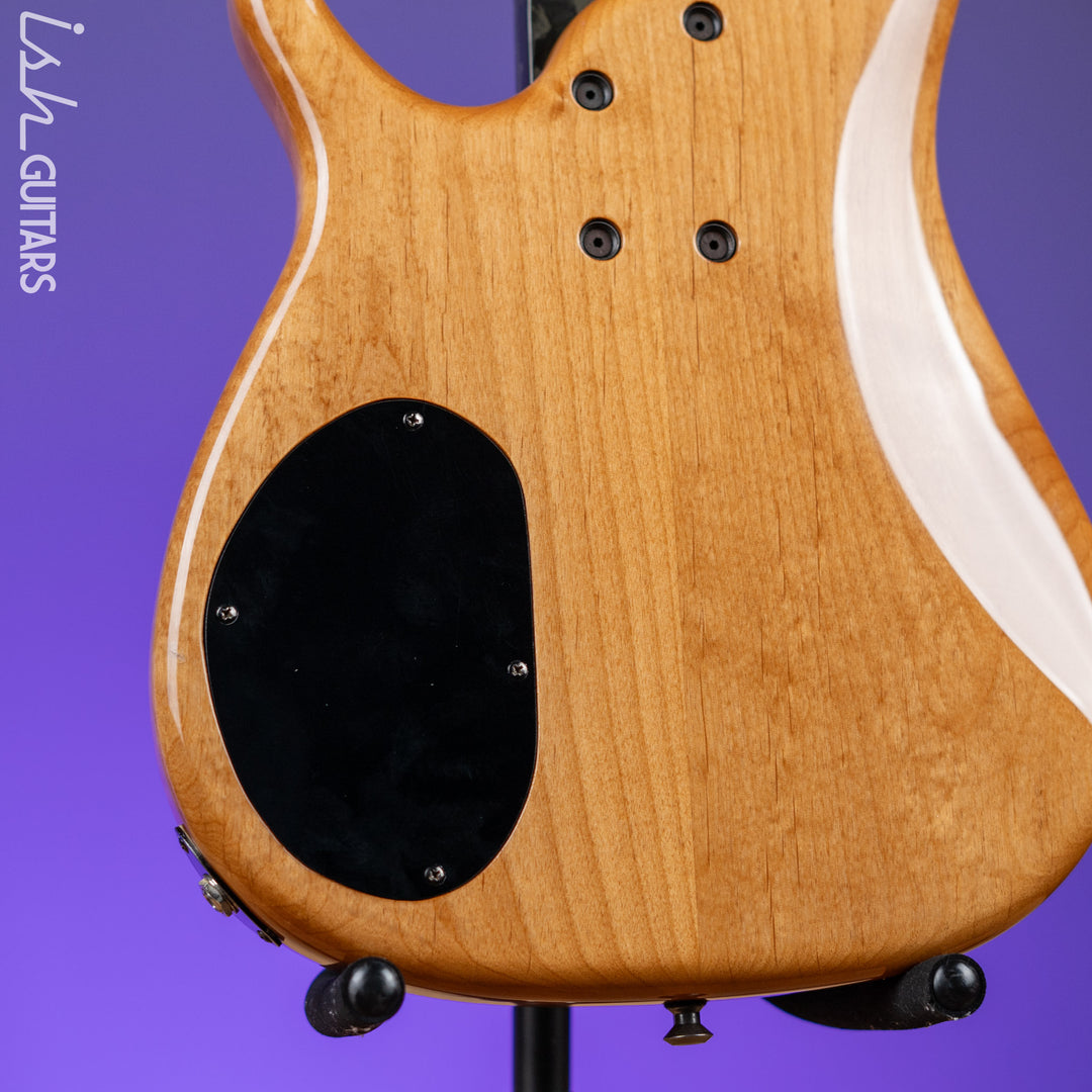 2001 Modulus Quantum 5 Fretless Bass
