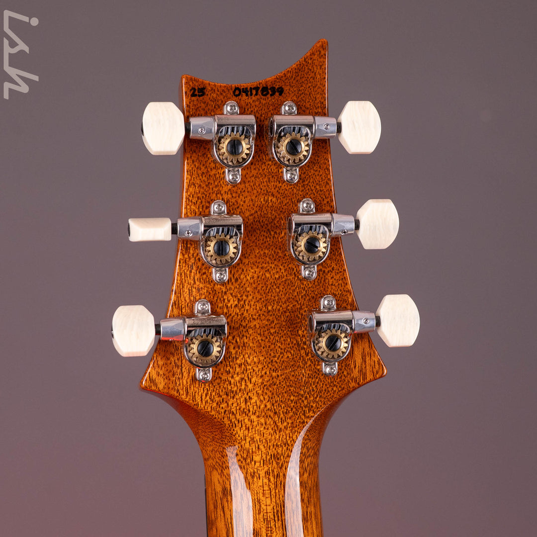 PRS DGT Birds Custom Finish Blue Demo