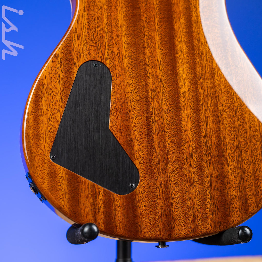 2020 PRS Private Stock McCarty Dragon&