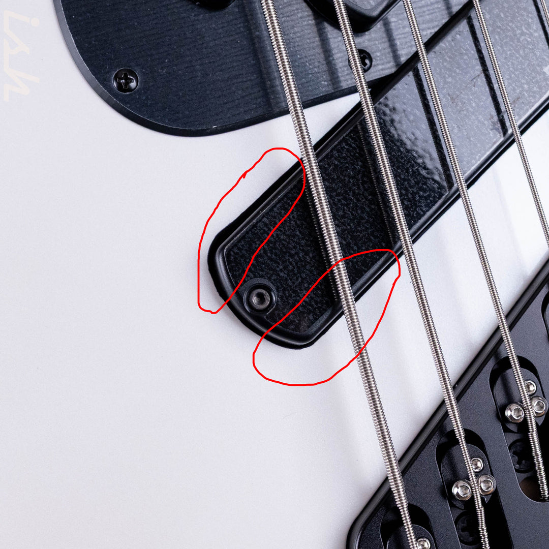 Dingwall SP1 5-String Bass Ducati White Maple Board B-Stock