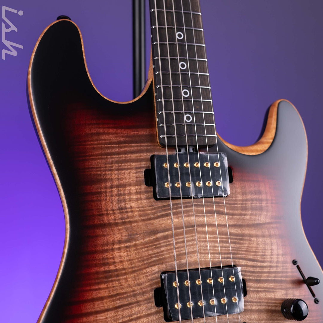 Ernie Ball Music Man Rabea Massaad Sabre HH Vileblood Burst