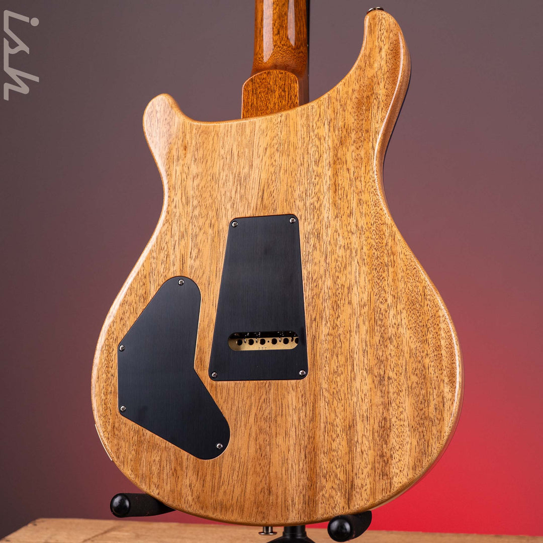 PRS DGT Birds Custom Finish Blue Demo