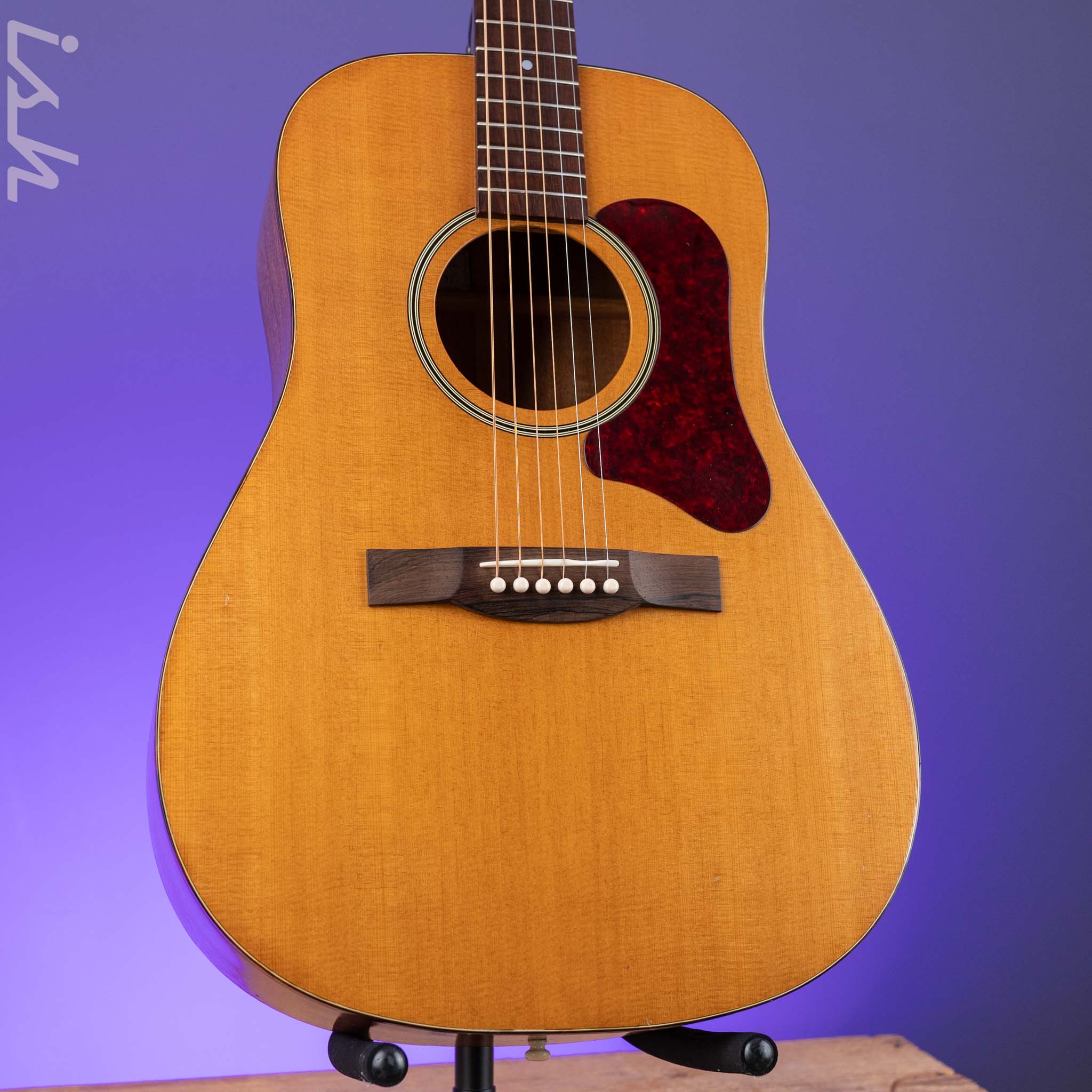 1966-1969 Vega A-25 Acoustic Guitar