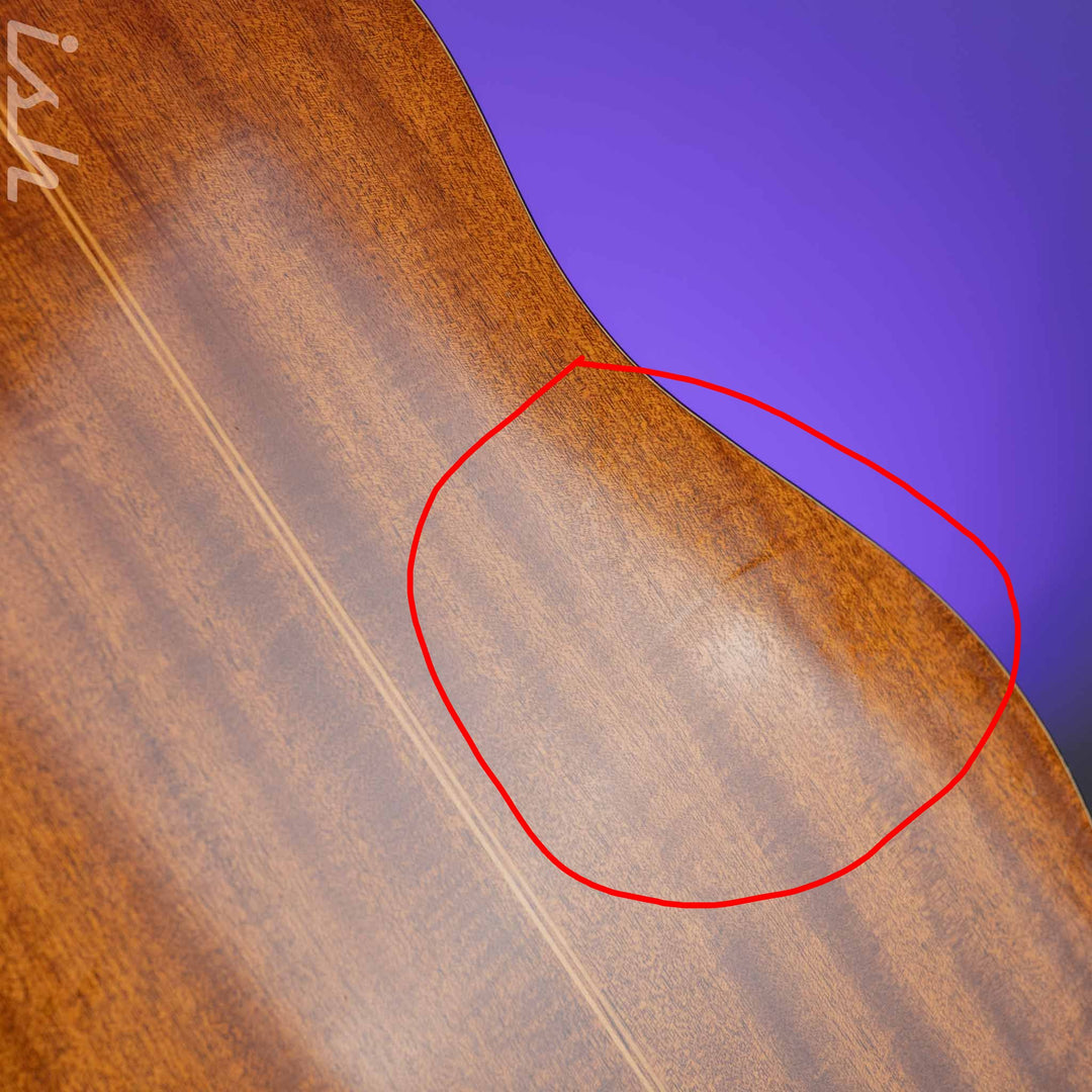 1966-1969 Vega A-25 Acoustic Guitar