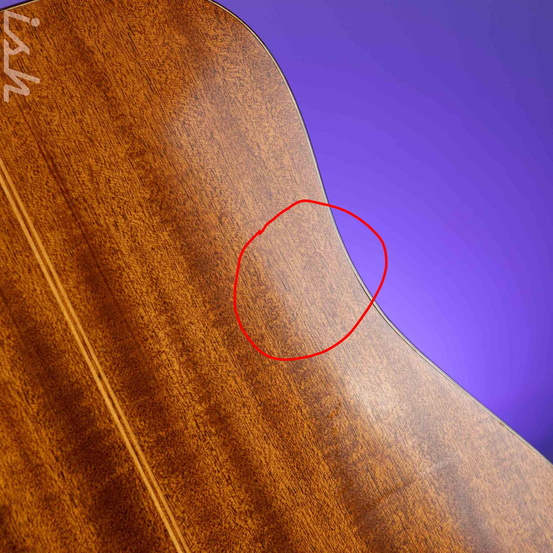 1966-1969 Vega A-25 Acoustic Guitar