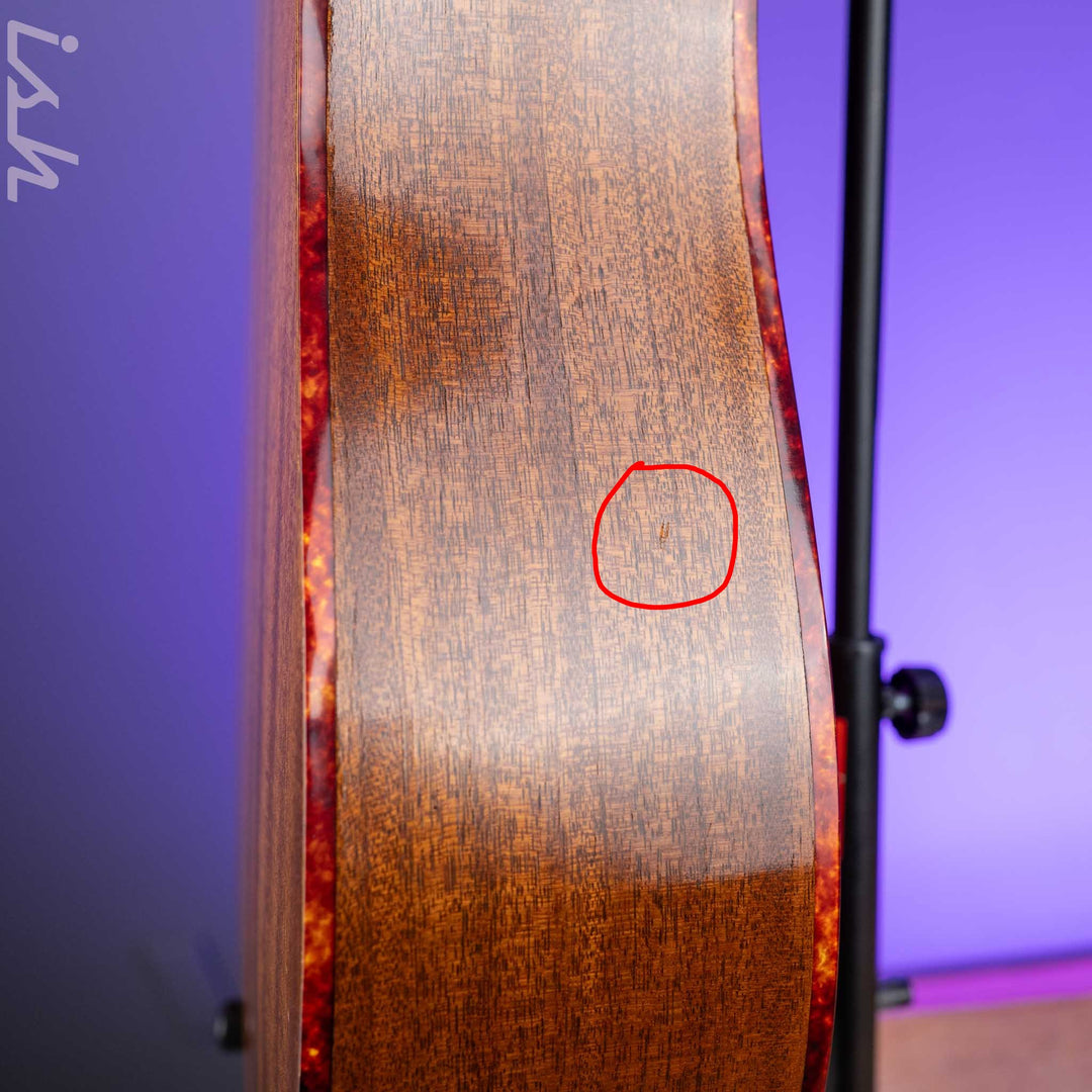 1966-1969 Vega A-25 Acoustic Guitar