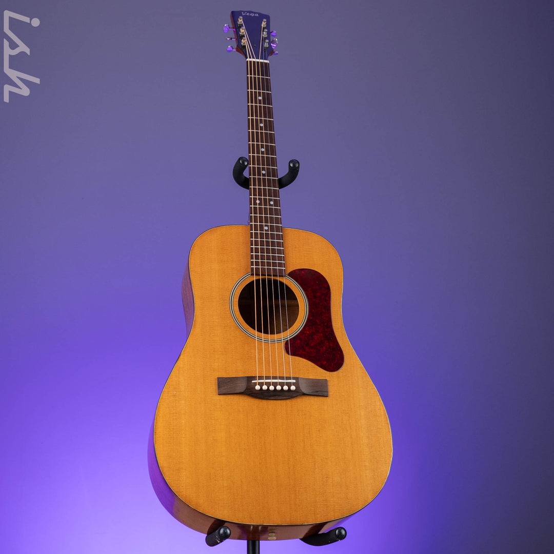1966-1969 Vega A-25 Acoustic Guitar