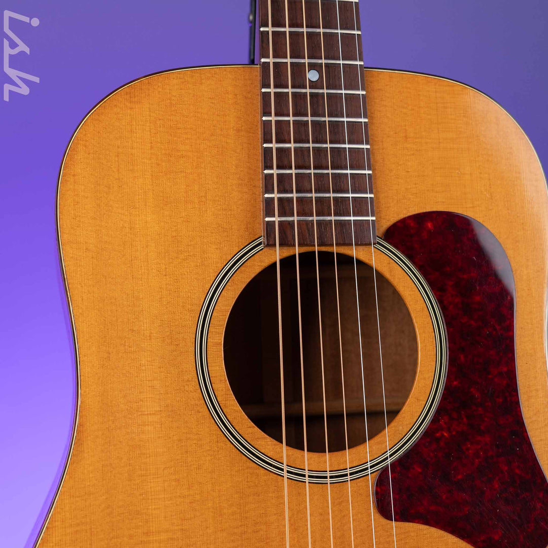 1966-1969 Vega A-25 Acoustic Guitar