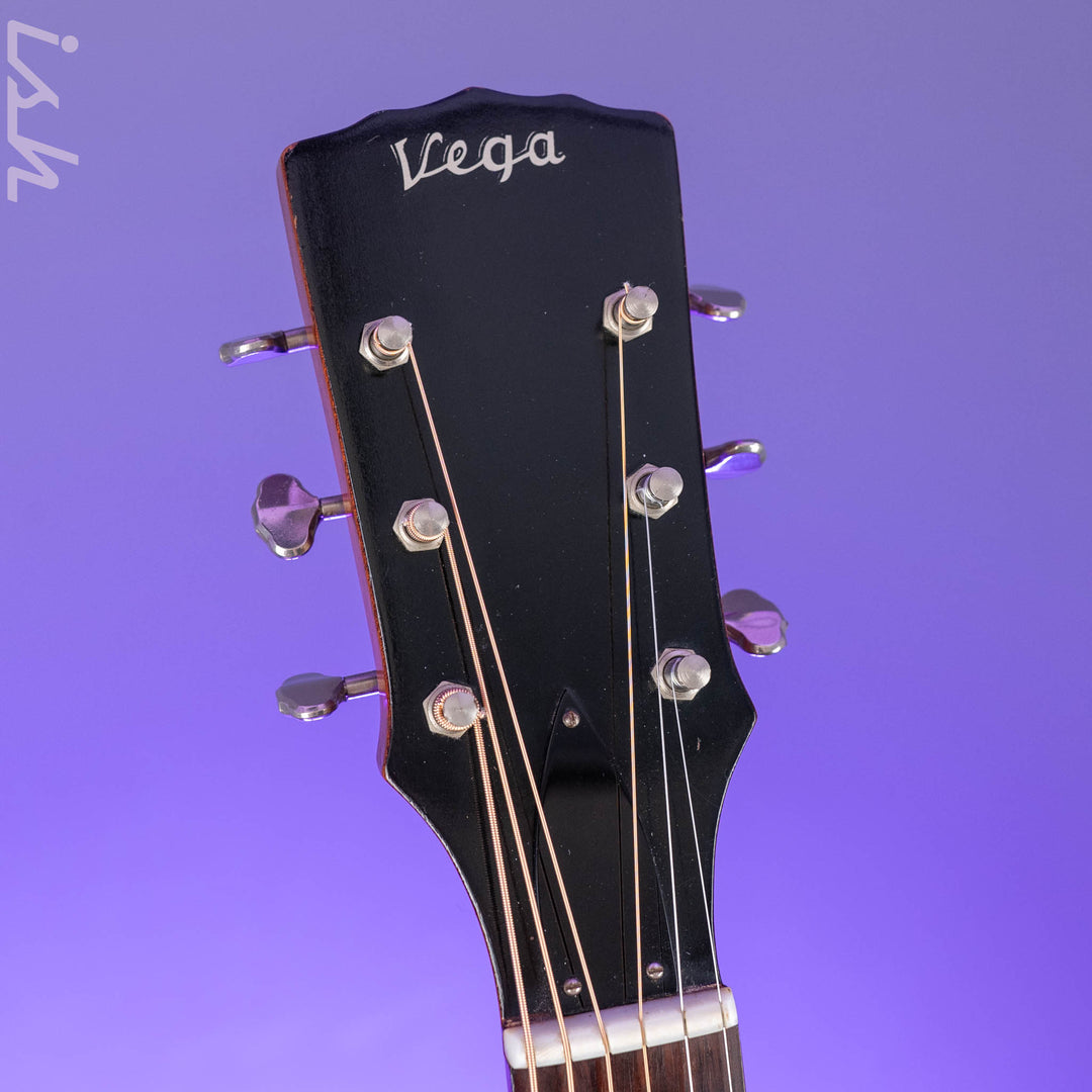 1966-1969 Vega A-25 Acoustic Guitar