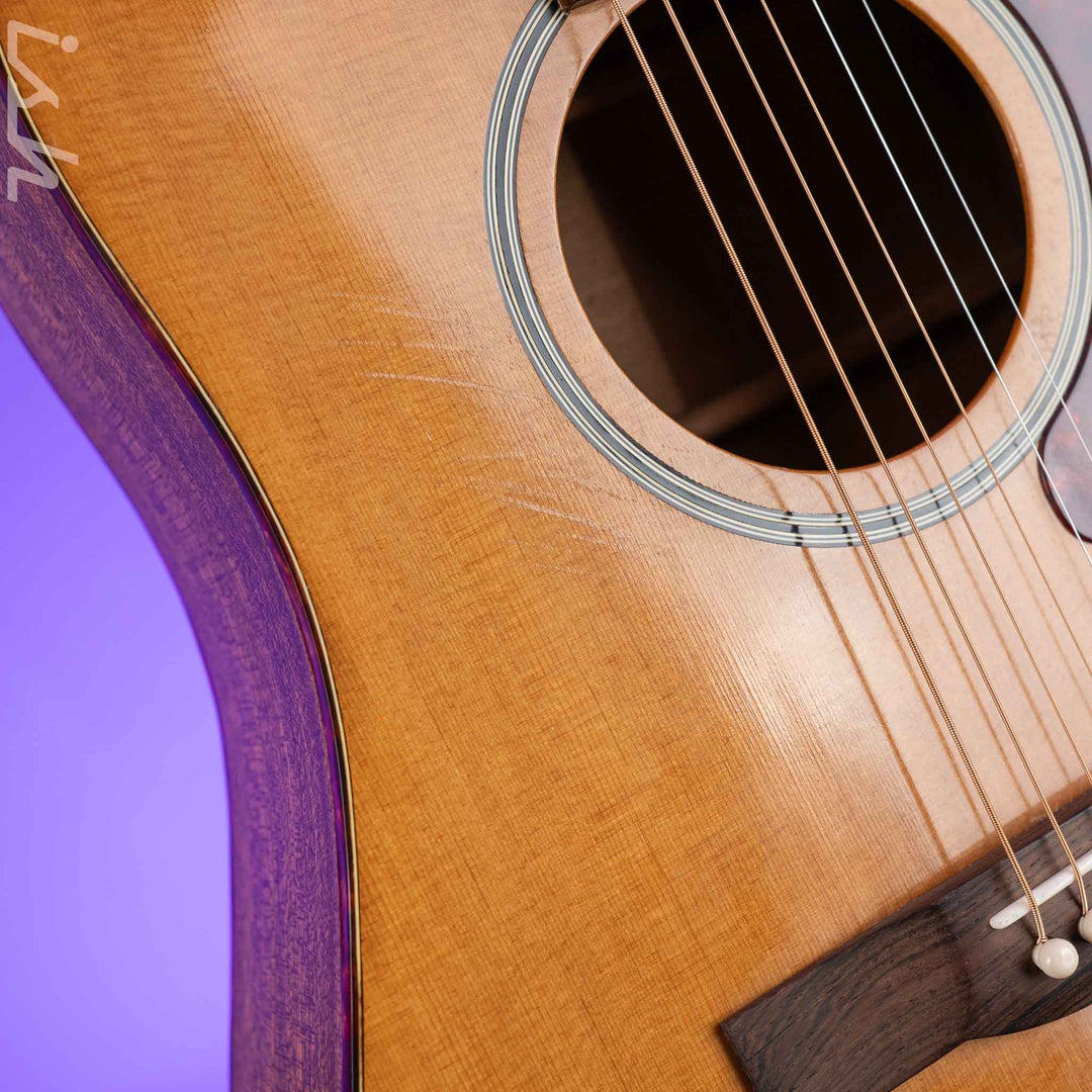 1966-1969 Vega A-25 Acoustic Guitar