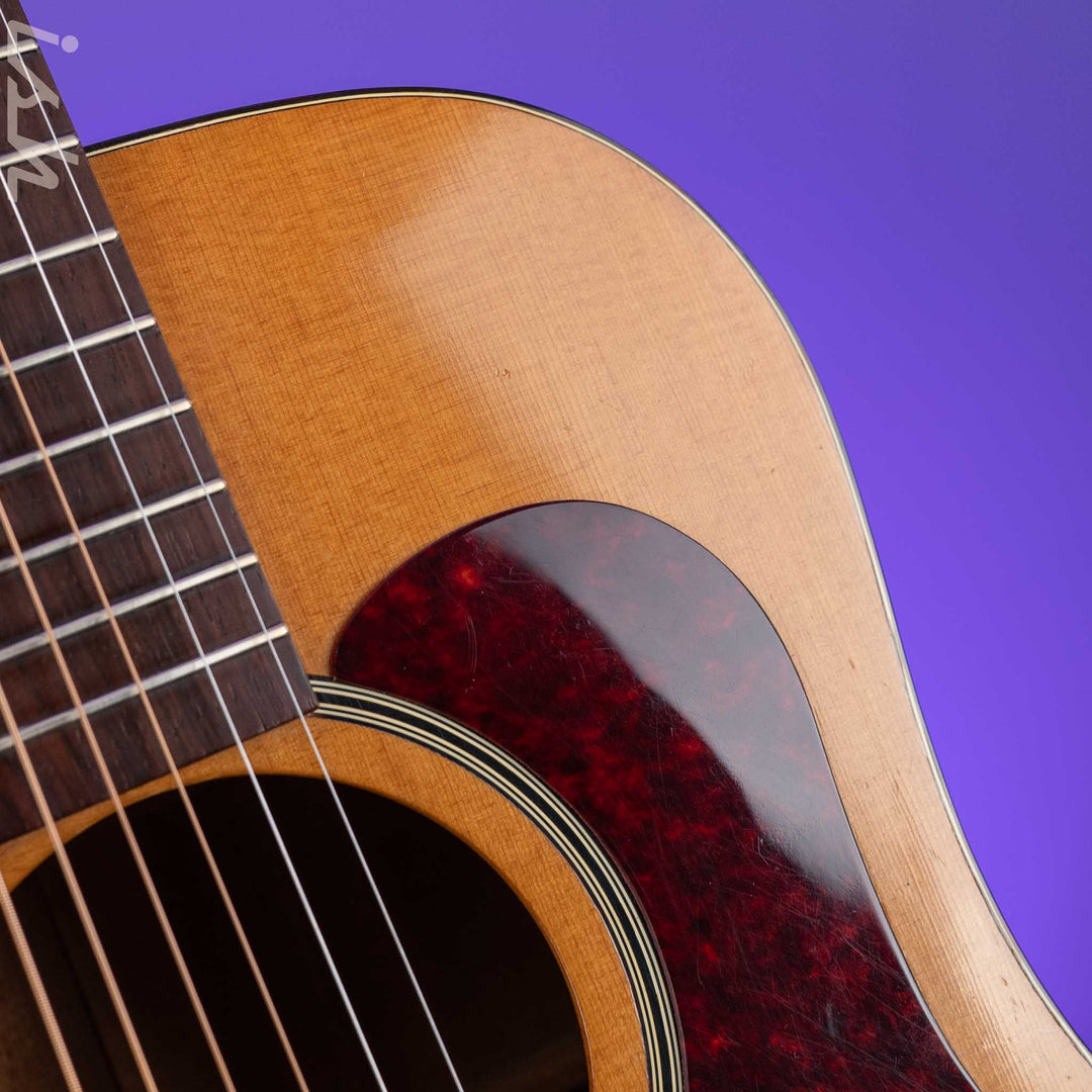 1966-1969 Vega A-25 Acoustic Guitar