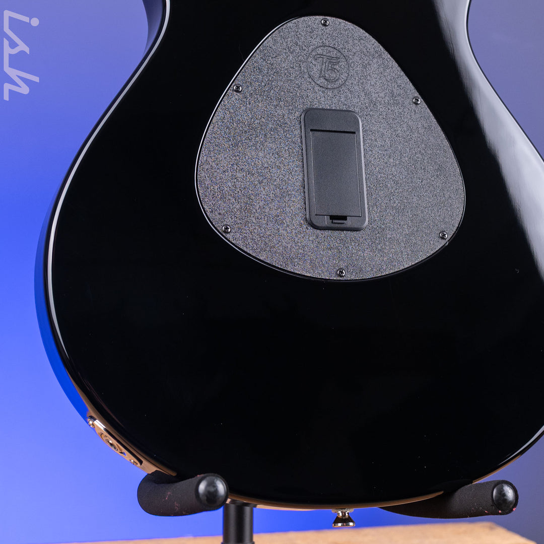 2013 Taylor T5z Pro