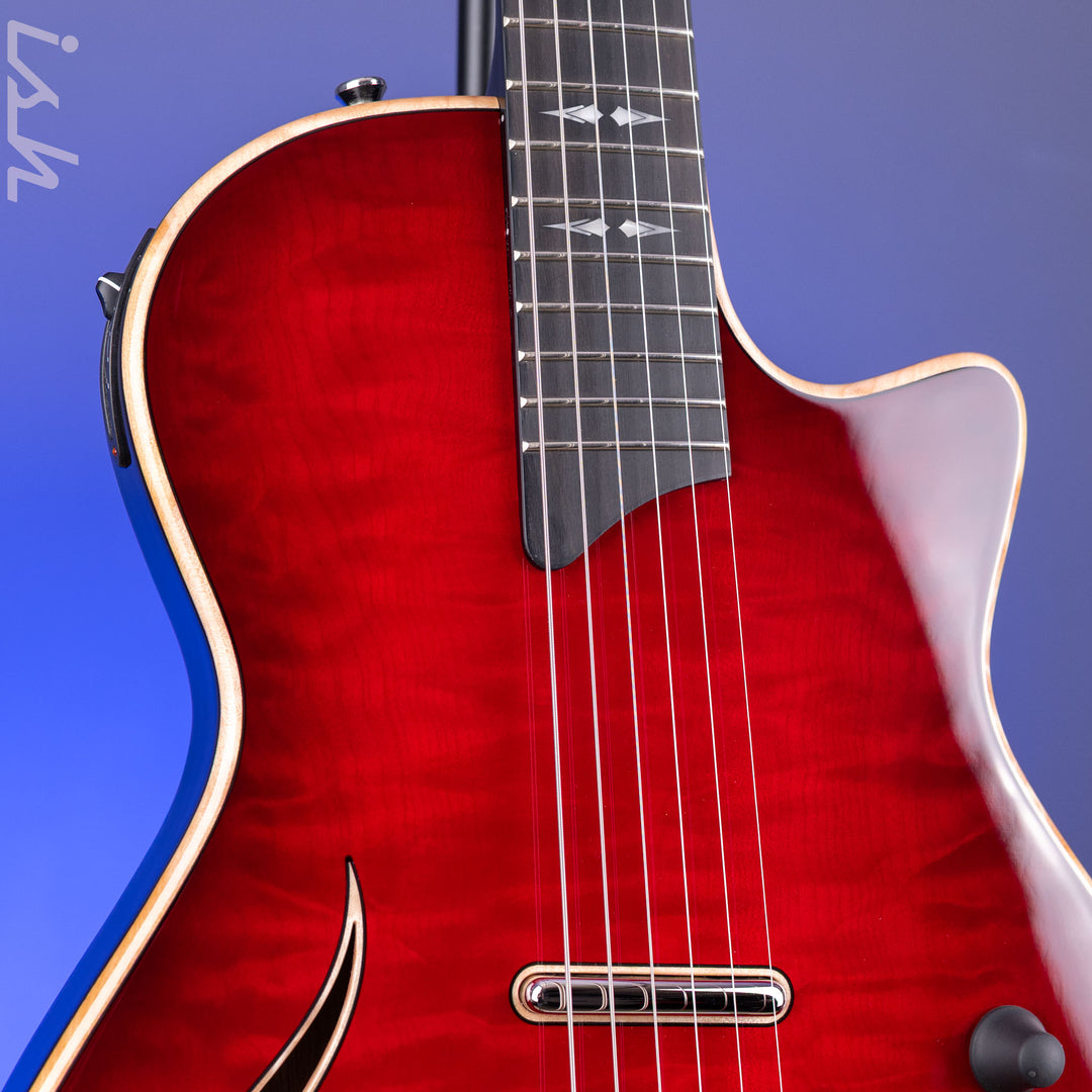 2013 Taylor T5z Pro
