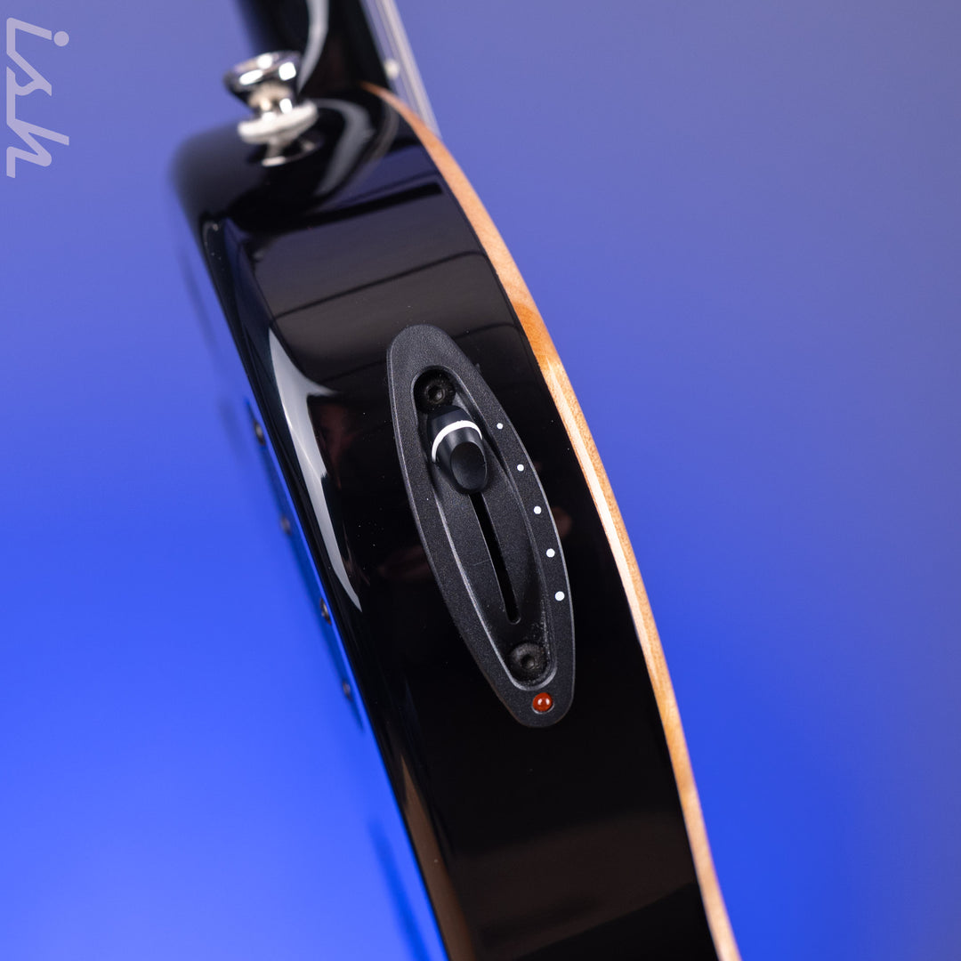 2013 Taylor T5z Pro