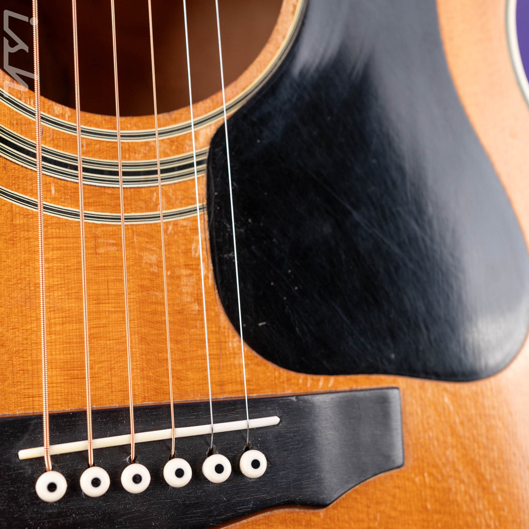 1975 Guild F-50 Natural