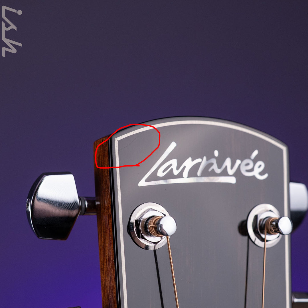 2021 Larrivee D-05