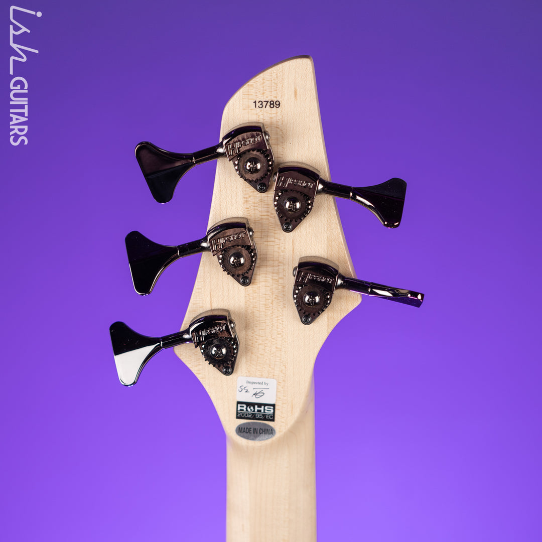 Dingwall NG-3 5-string Bass Matte Celestial Blue