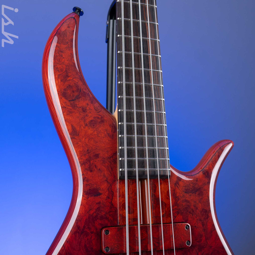 F Bass BN5 Burled Maple Dark Auburn Fade