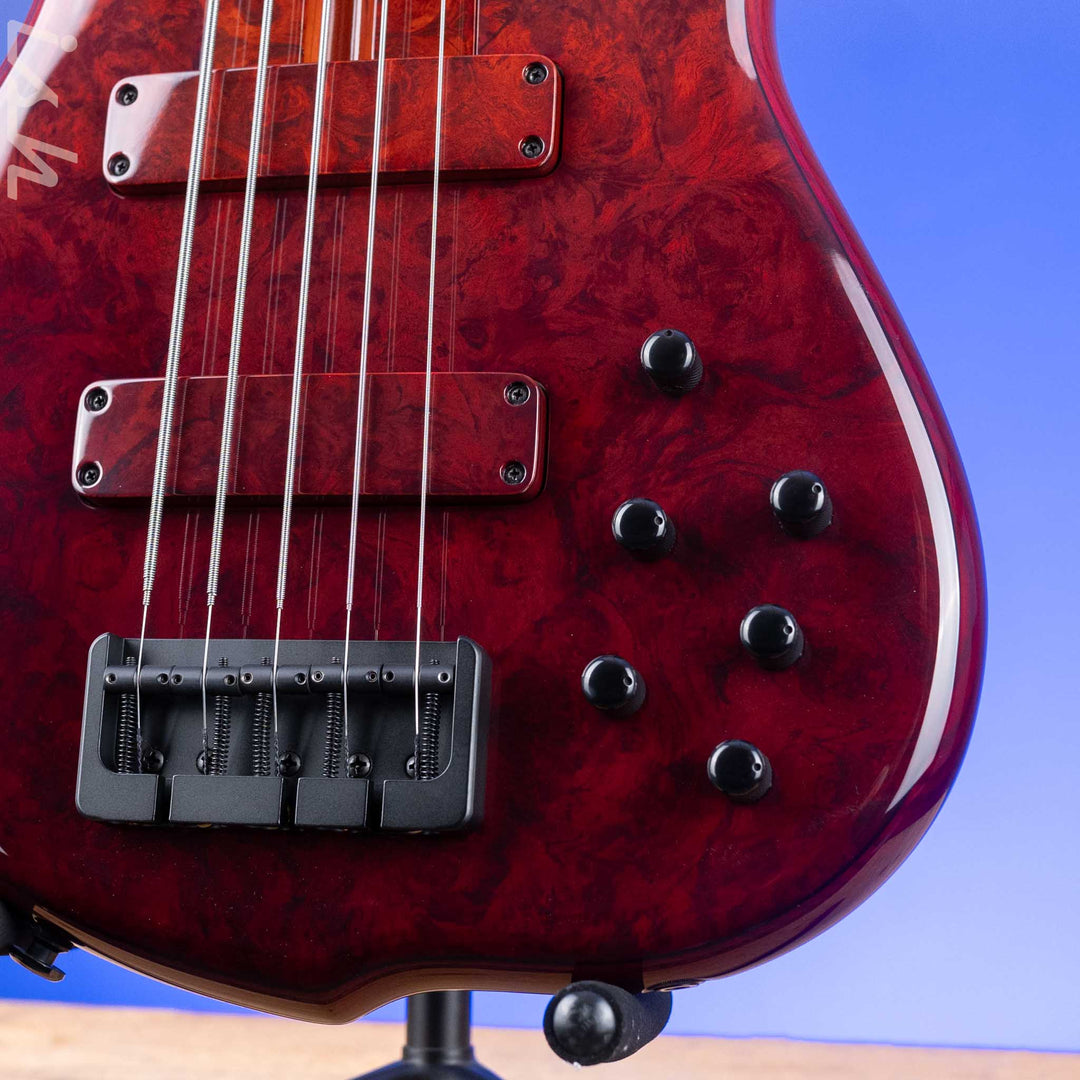 F Bass BN5 Burled Maple Dark Auburn Fade