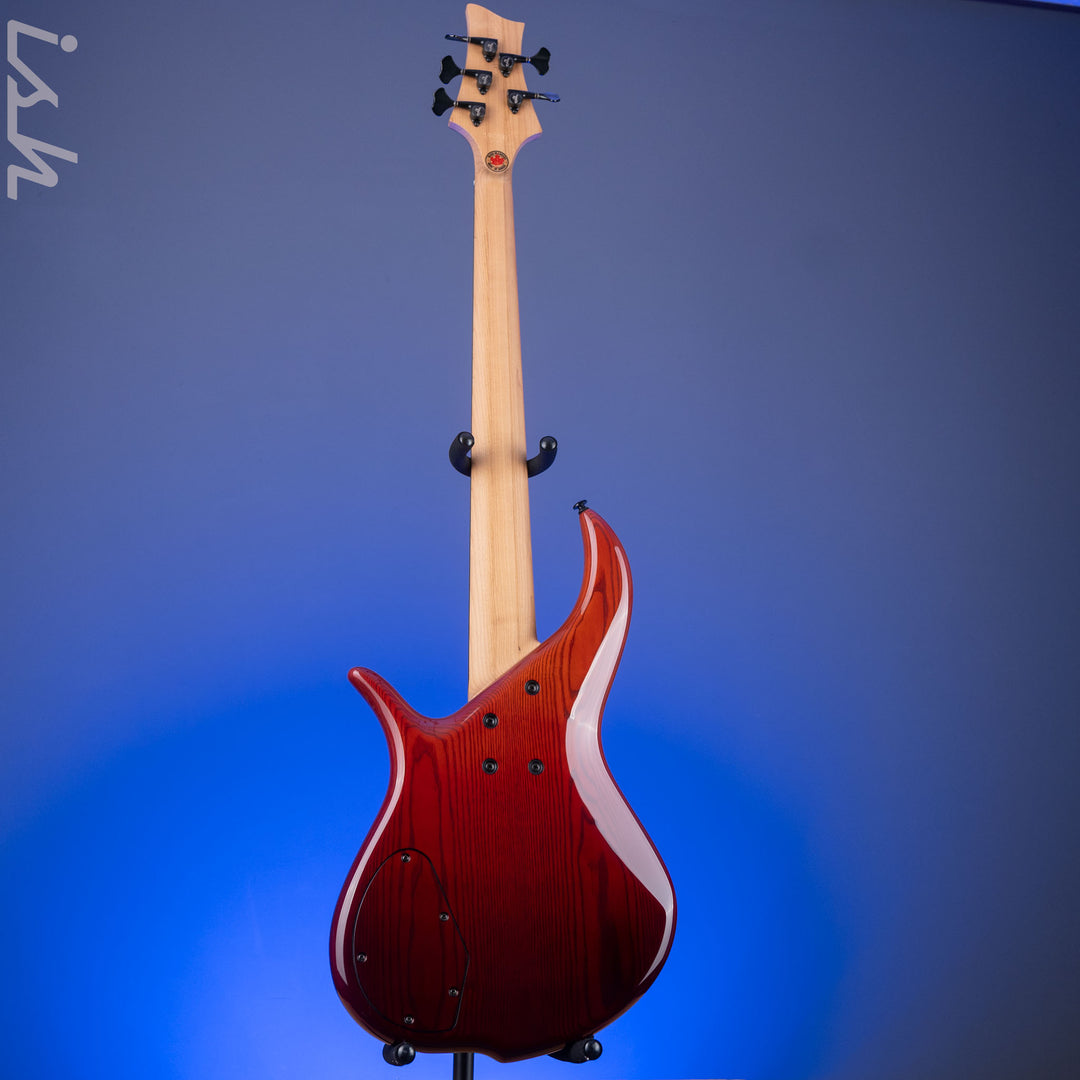 F Bass BN5 Burled Maple Dark Auburn Fade
