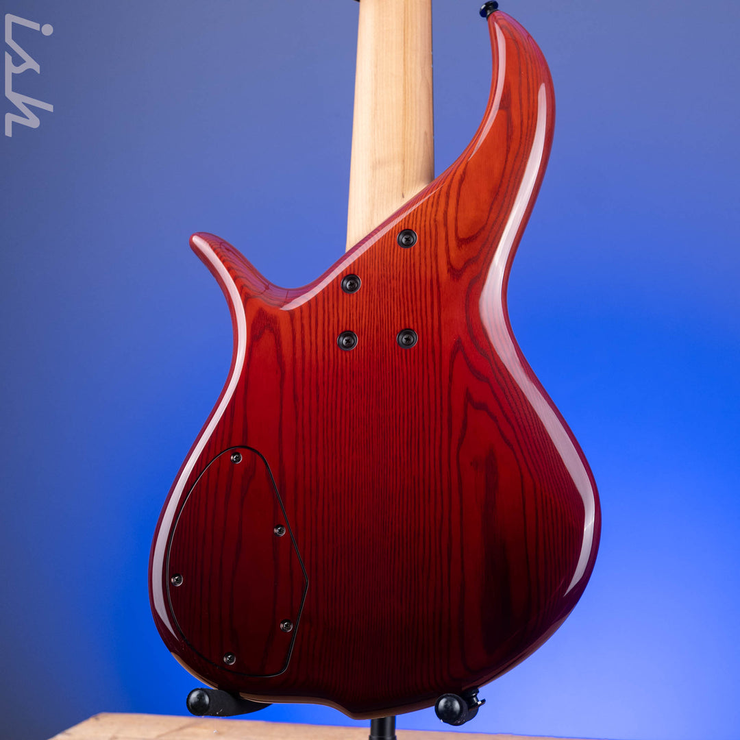 F Bass BN5 Burled Maple Dark Auburn Fade