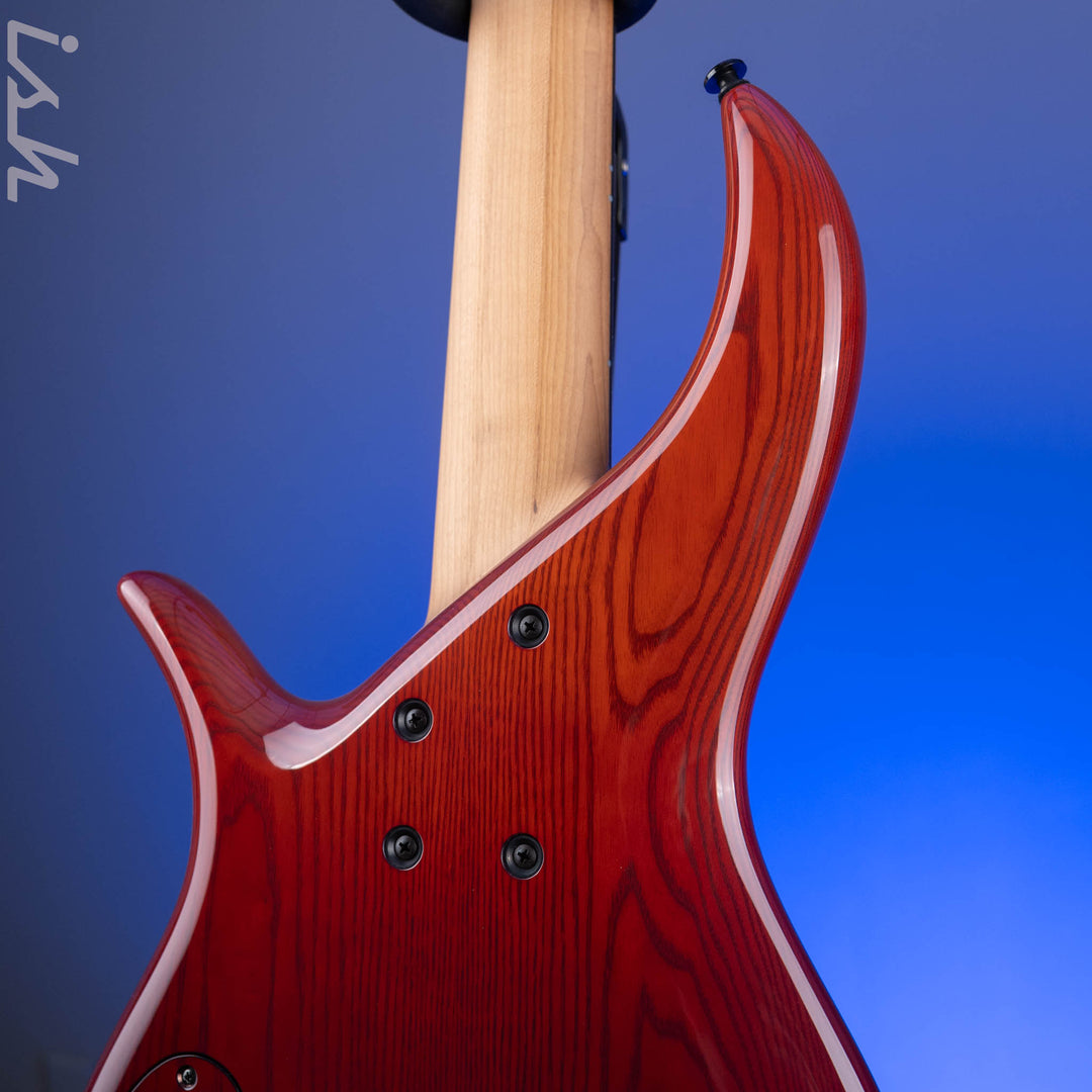 F Bass BN5 Burled Maple Dark Auburn Fade
