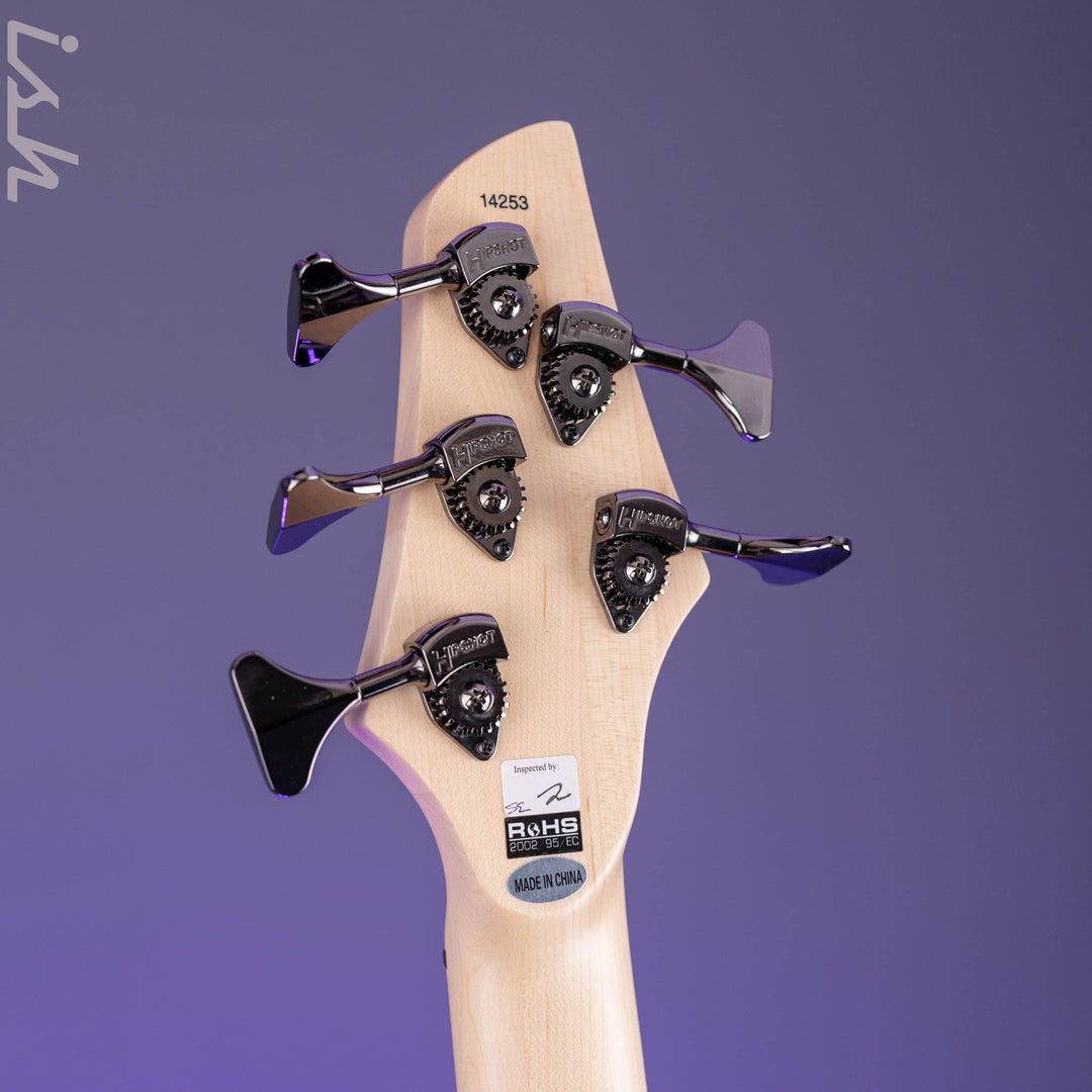 Dingwall NG-3 5-String Bass Guitar Matte Celestial Blue