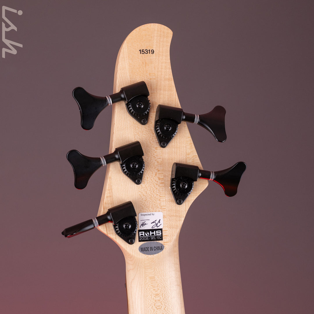 2023 Dingwall D-Roc Standard 5-String Black