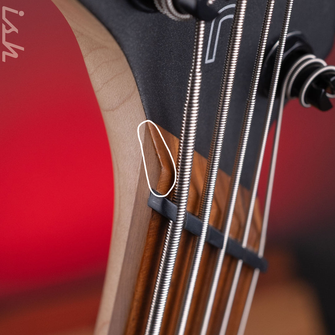2023 Dingwall D-Roc Standard 5-String Black