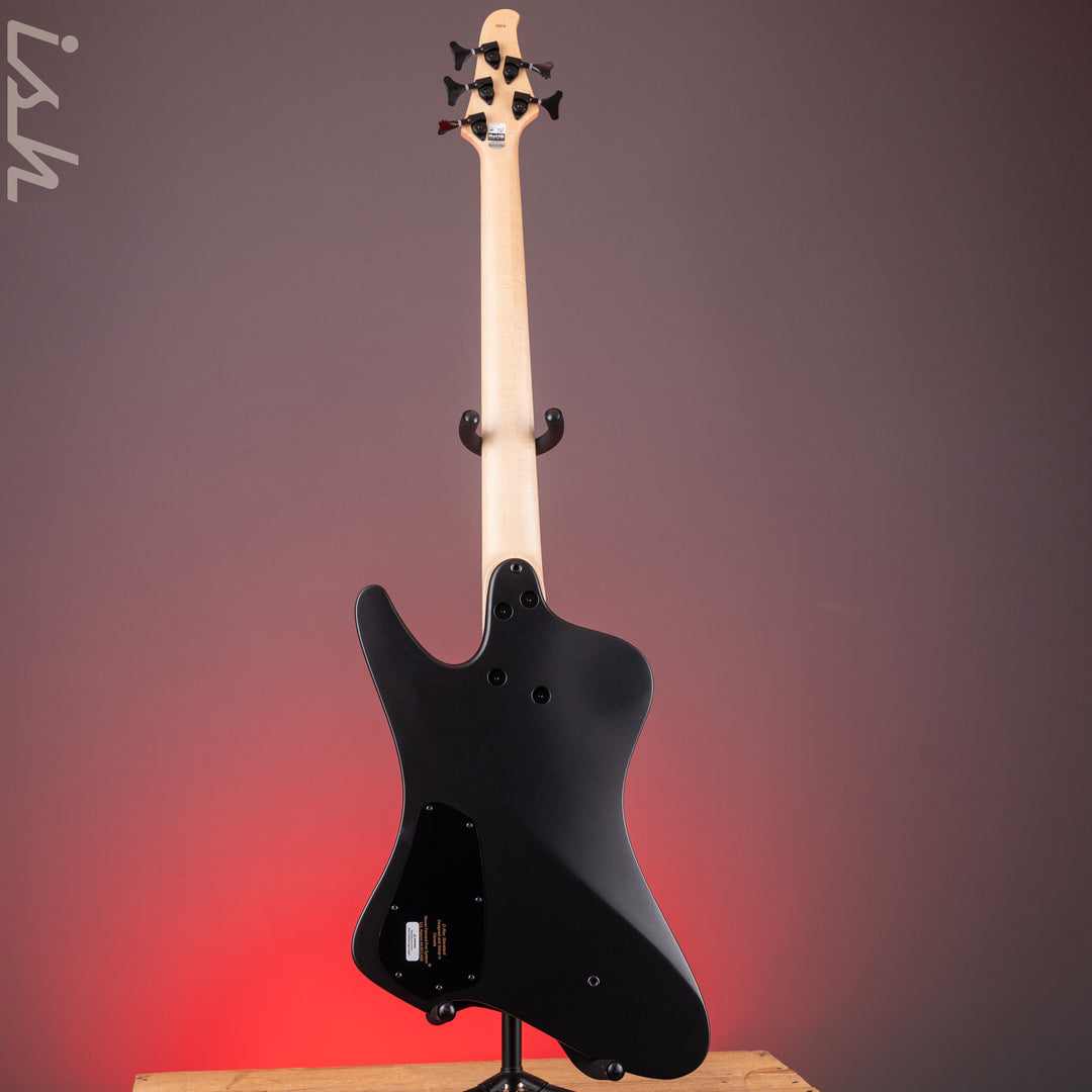 2023 Dingwall D-Roc Standard 5-String Black