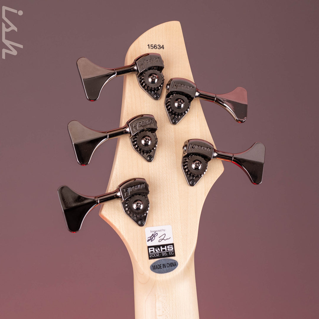 Dingwall Combustion 5-String Bass Whalepoolburst