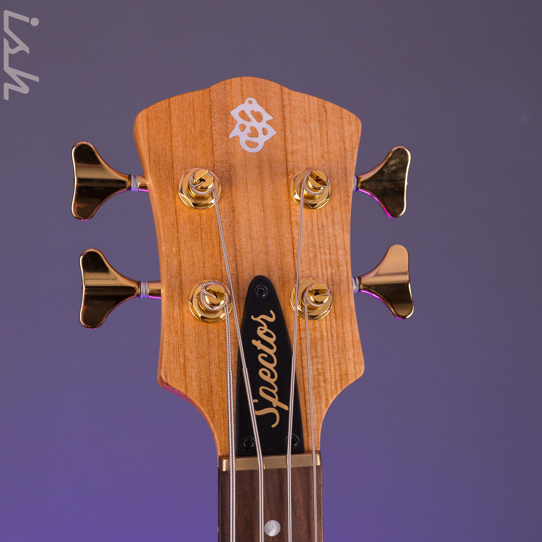 Spector USA SB-1 Reissue Limited Edition Rainbow Alder