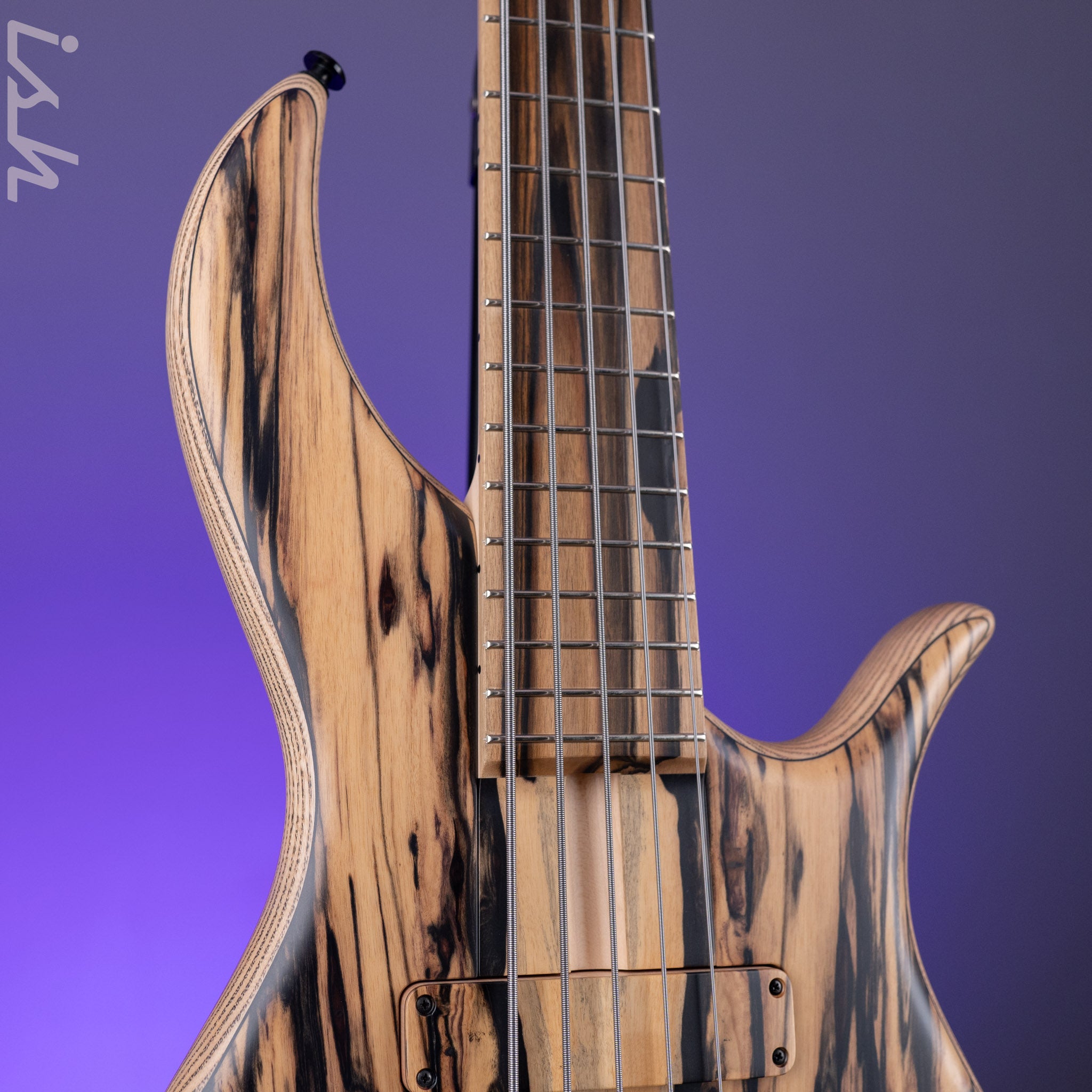 F Bass BN5 5-String Bass Pale Moon Ebony – Ish Guitars