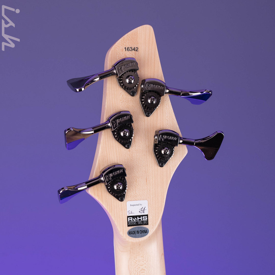 Dingwall NG-3 5-String Bass Guitar Black Forest Green
