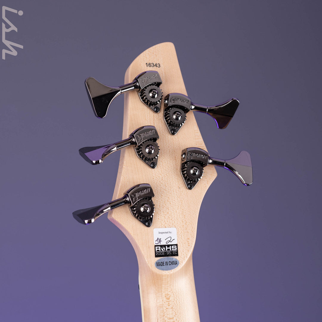 Dingwall NG-3 5-String Bass Guitar Black Forest Green