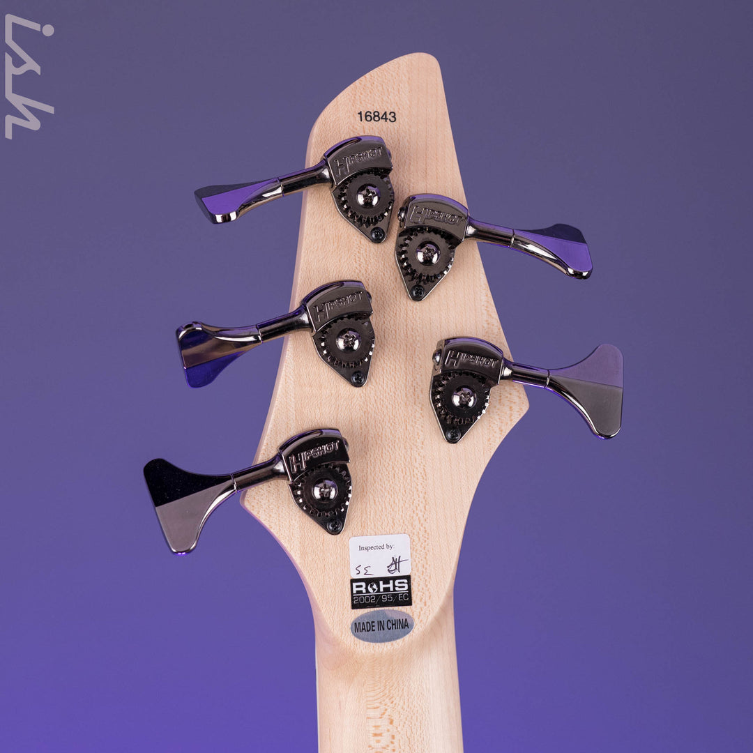 Dingwall NG-3 5-String Bass Matte Ducati Pearl White