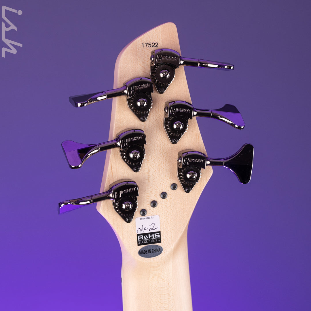 Dingwall NG-3 6-String Bass Matte Celestial Blue