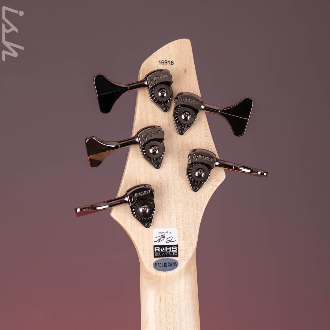 Dingwall NG-3 5-String Bass Guitar Metallic Black