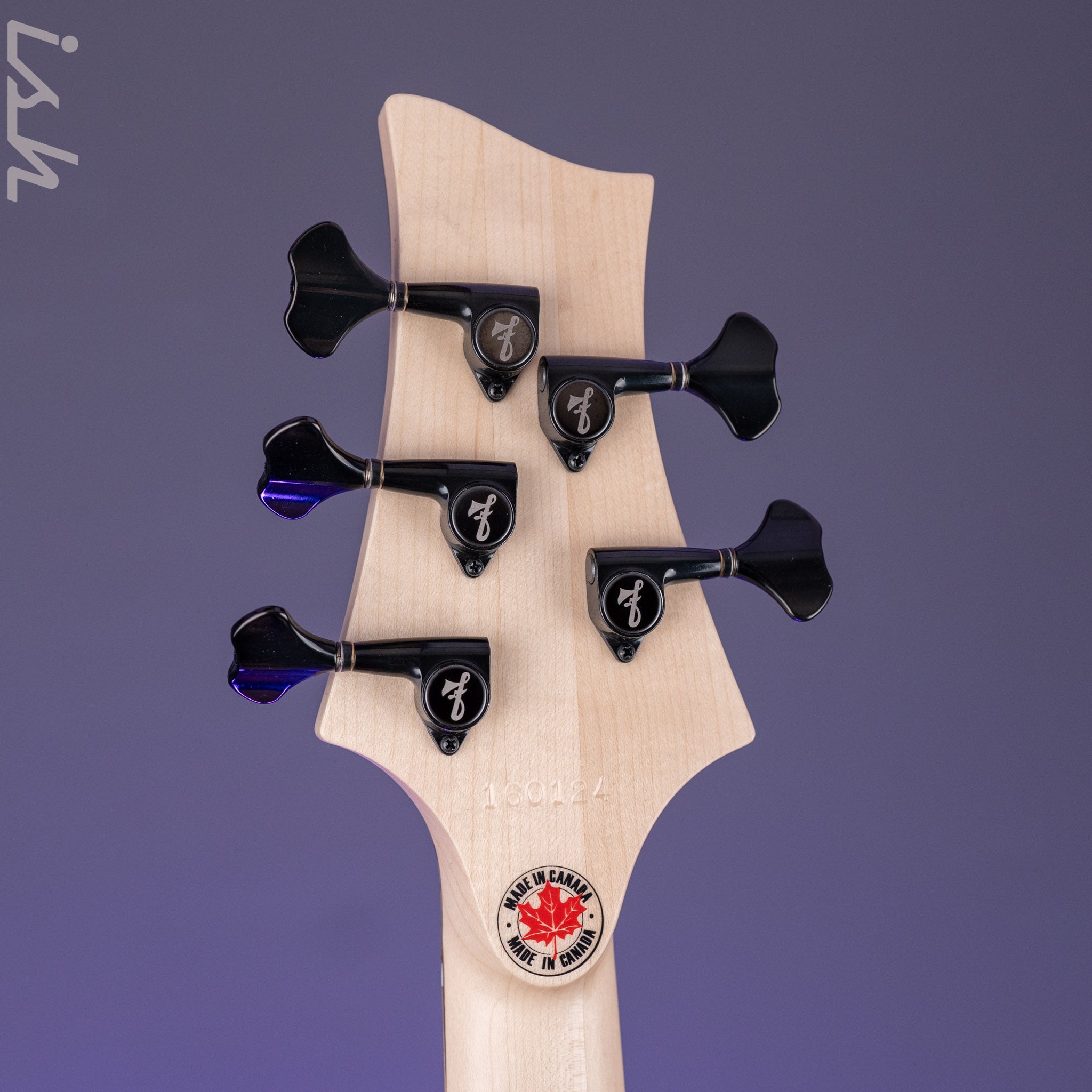 F Bass BN5 5-String Bass Pale Moon Ebony – Ish Guitars