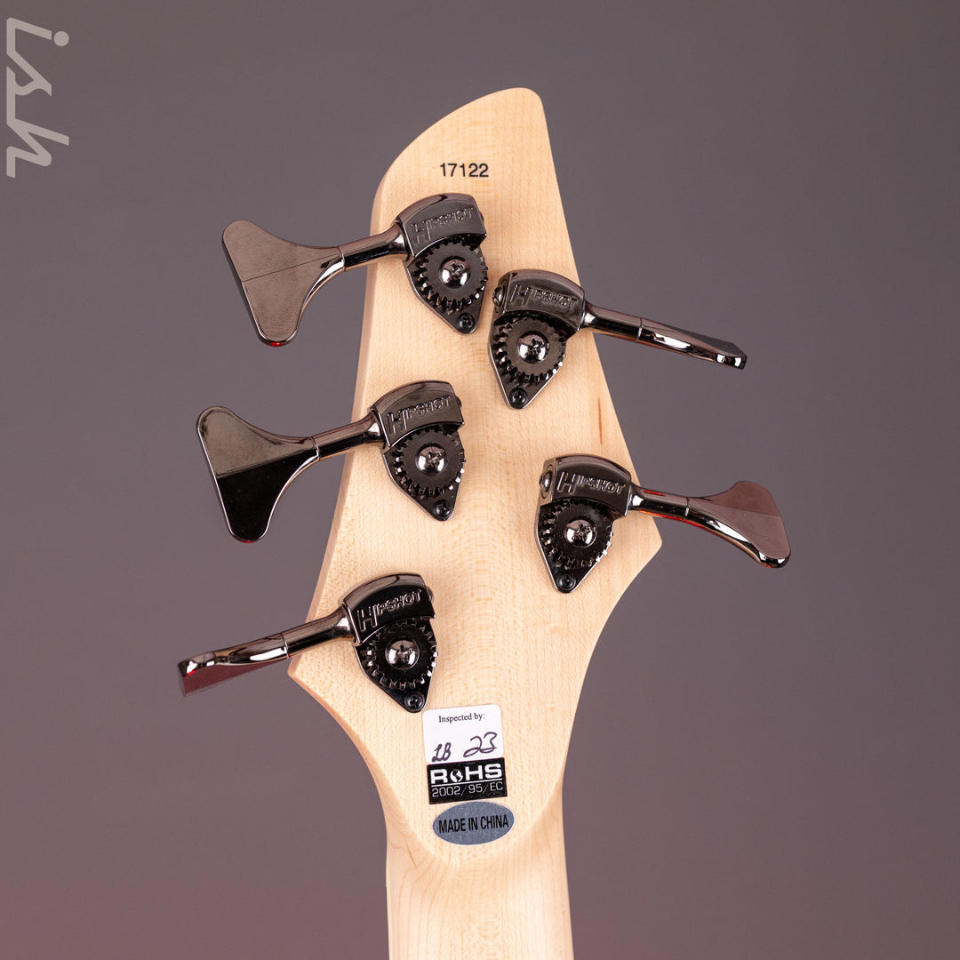 Dingwall Combustion 5-String Bass Whalepoolburst Demo