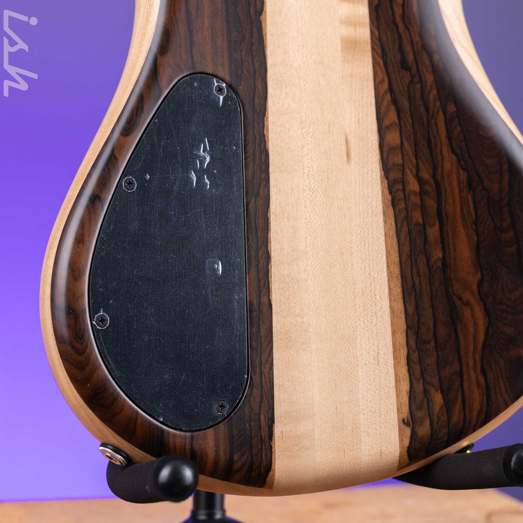 Spector USA NS-2 4-String Bass Ziricote Ash