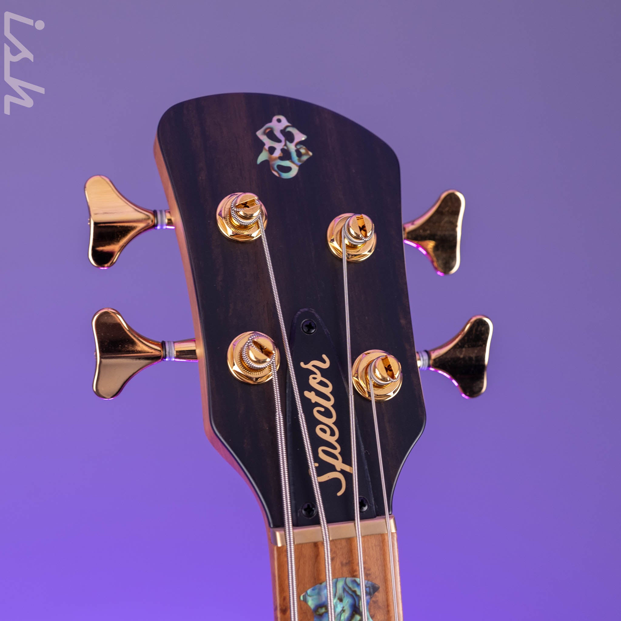 Spector USA NS-2 4-String Roasted Ash Natural Matte – Ish Guitars