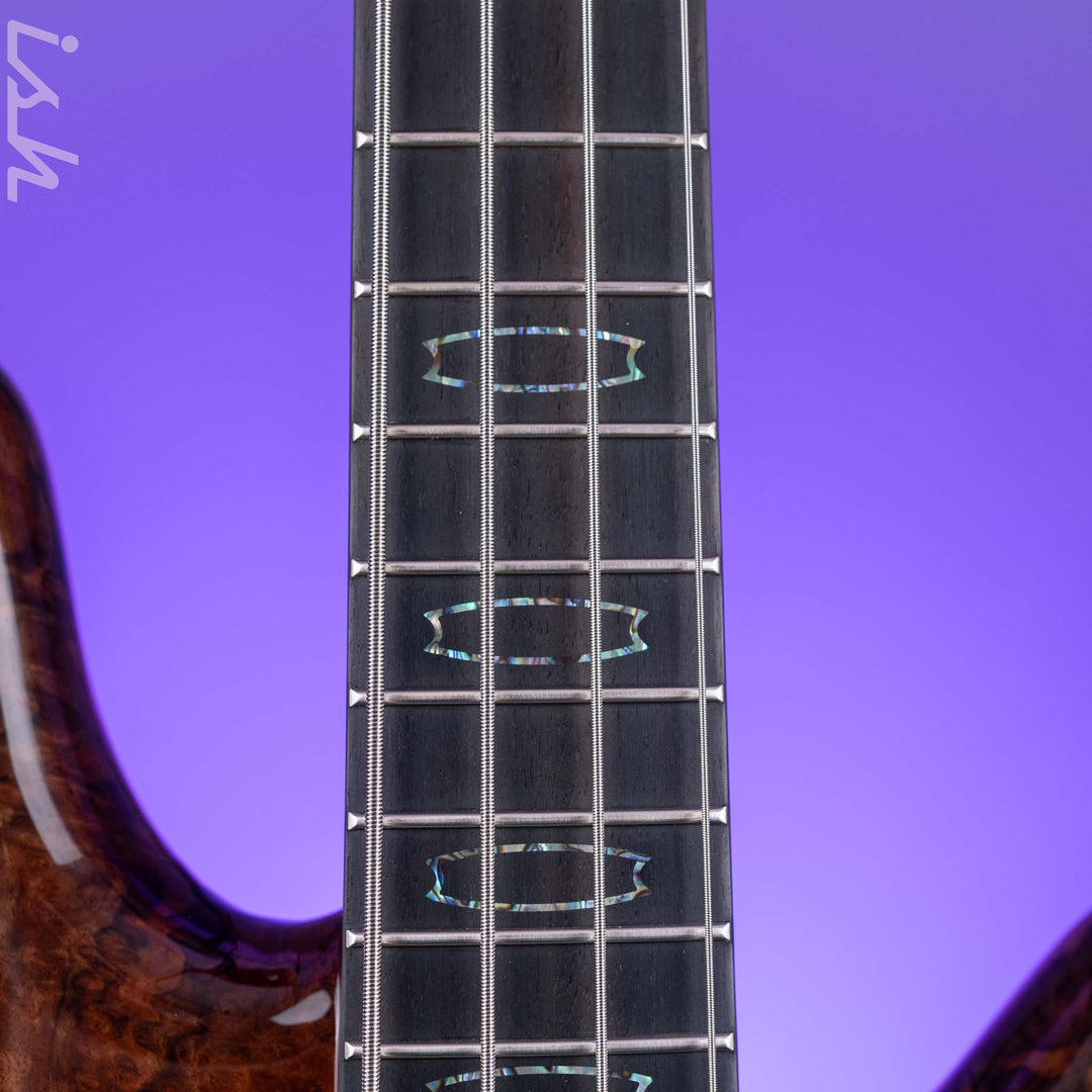 Spector USA NS-2 4-String Bass Figured Walnut