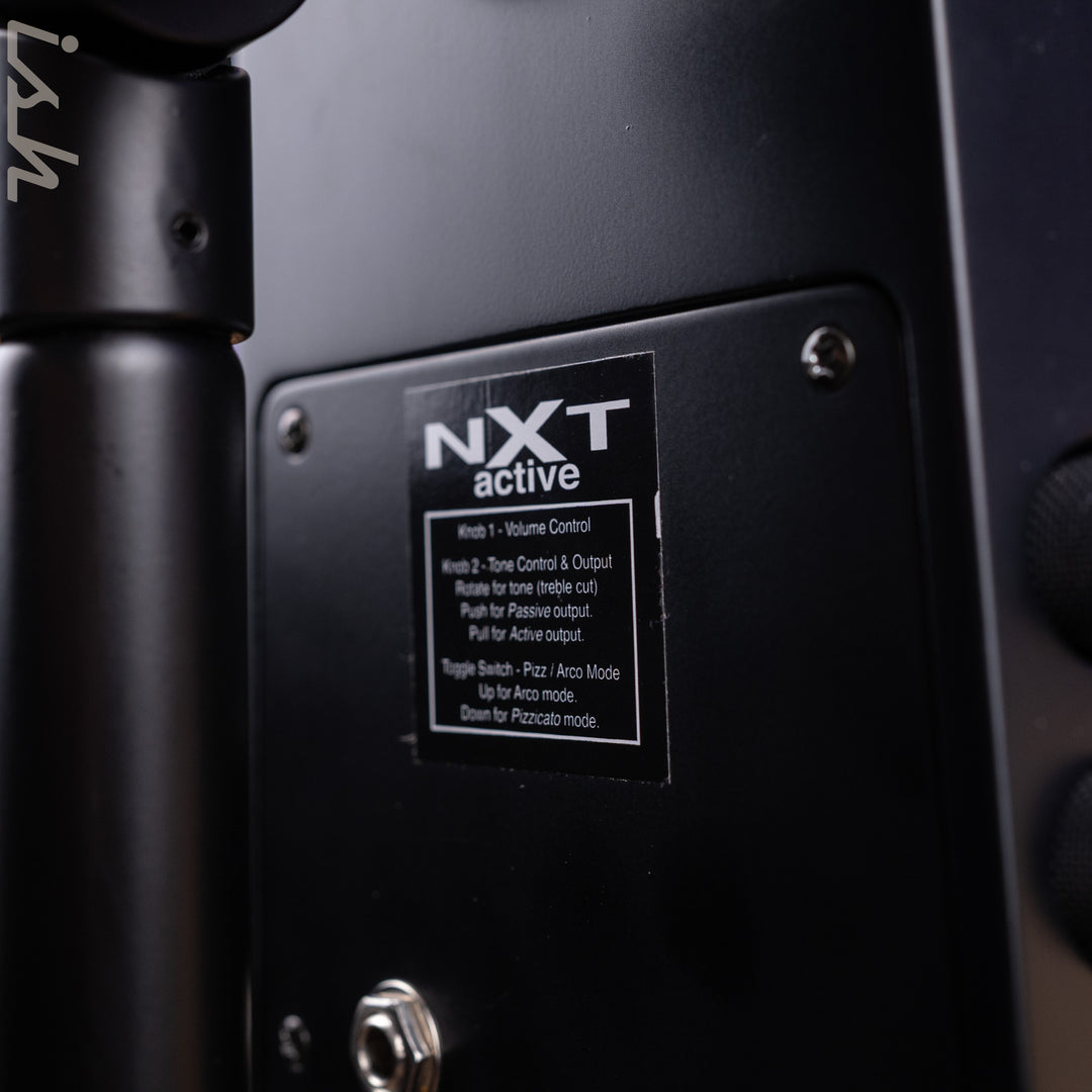 2017 NS Designs NXT 4A Upright Bass