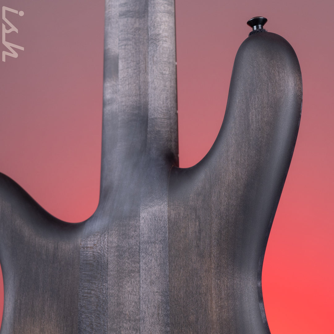 Spector USA NS-5 5-String Bass Black Hole Custom Finish